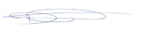 A blue line drawn on a white surface

Description automatically generated