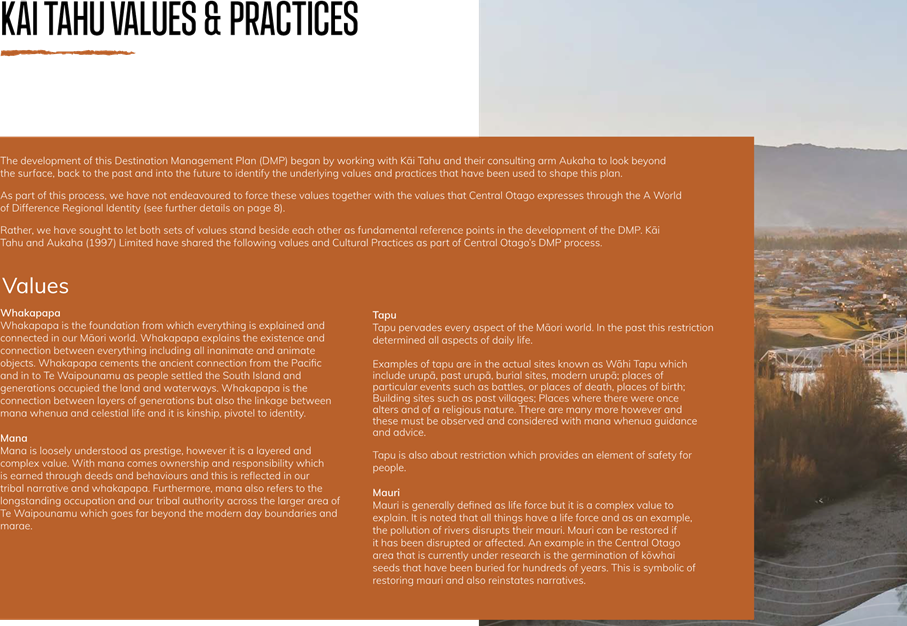 A close-up of a landscape

Description automatically generated