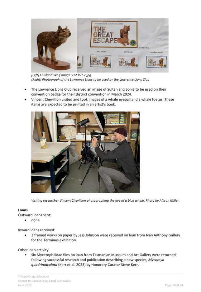 A person looking at a dog

Description automatically generated