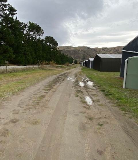 A dirt road with buildings in the background

Description automatically generated