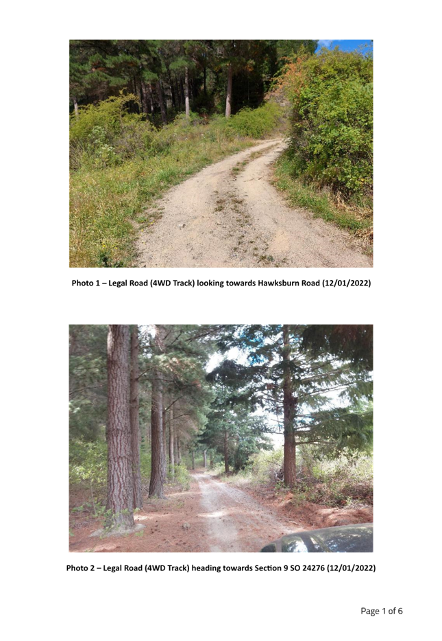 A dirt road with trees and bushes

Description automatically generated