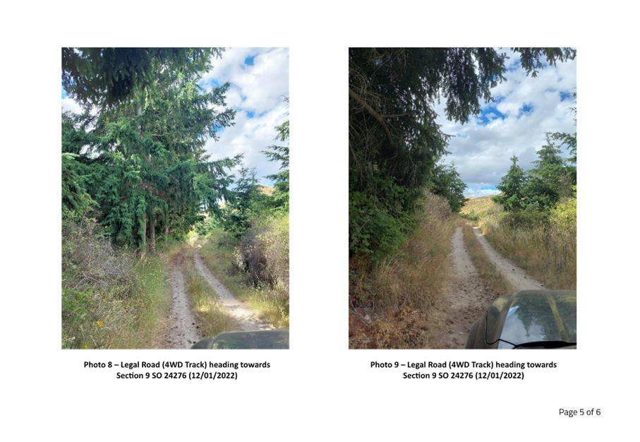 A dirt road with trees and bushes

Description automatically generated