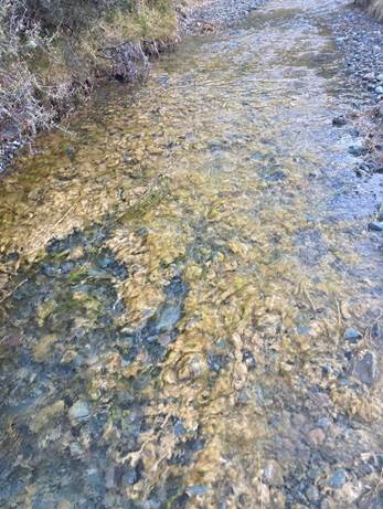 A stream of water with rocks

Description automatically generated