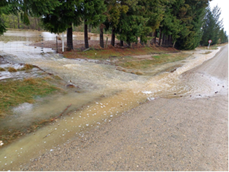 A flooded road with trees in the background

Description automatically generated