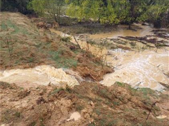A muddy river with trees in the background

Description automatically generated