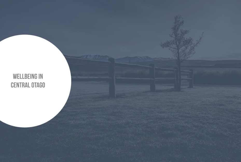 A fence in a field

Description automatically generated