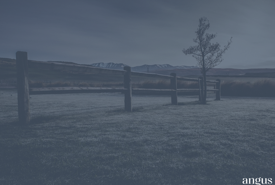 A fence in a field

Description automatically generated
